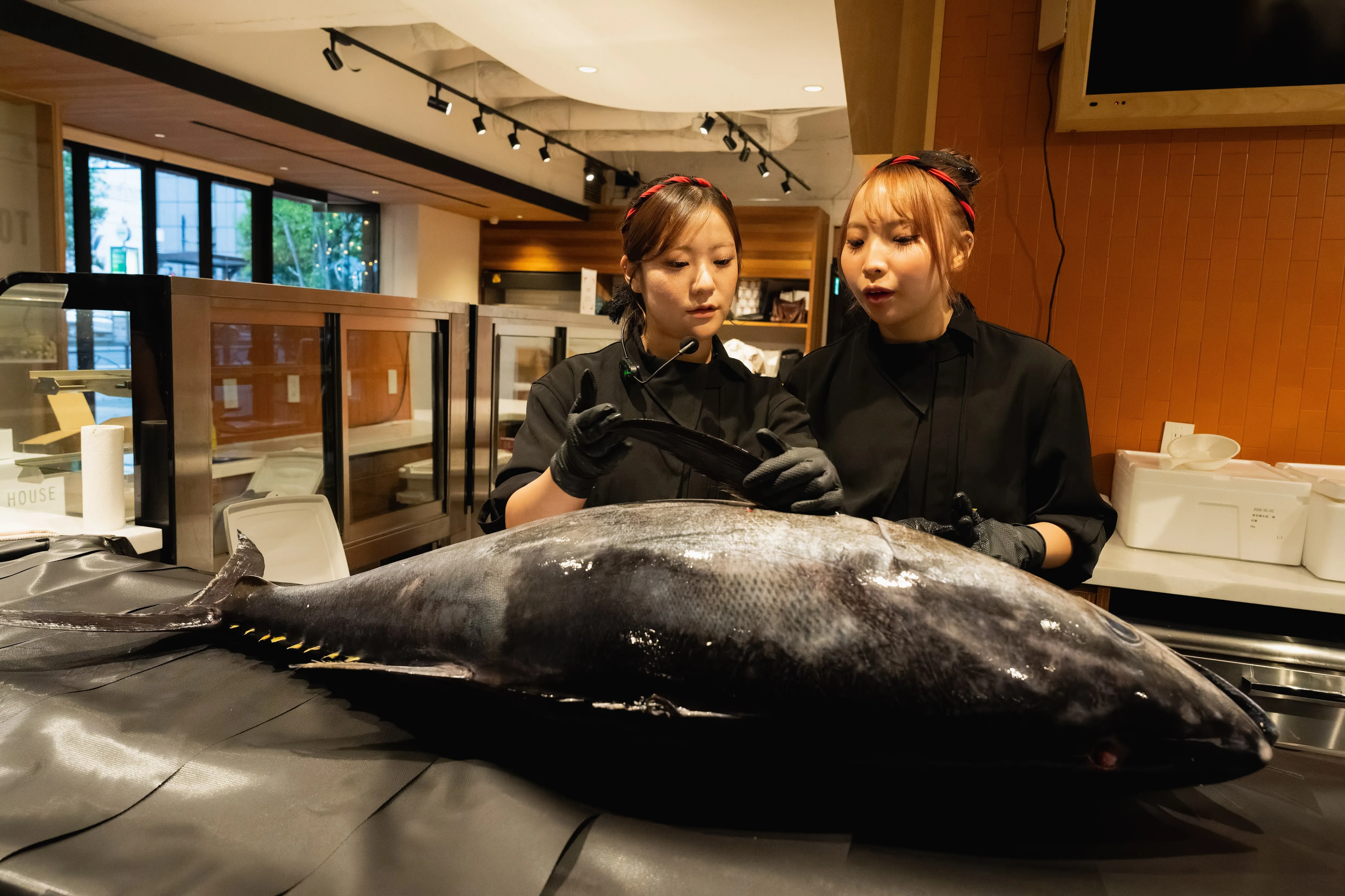 解体前のマグロを紹介する女性解体師2名